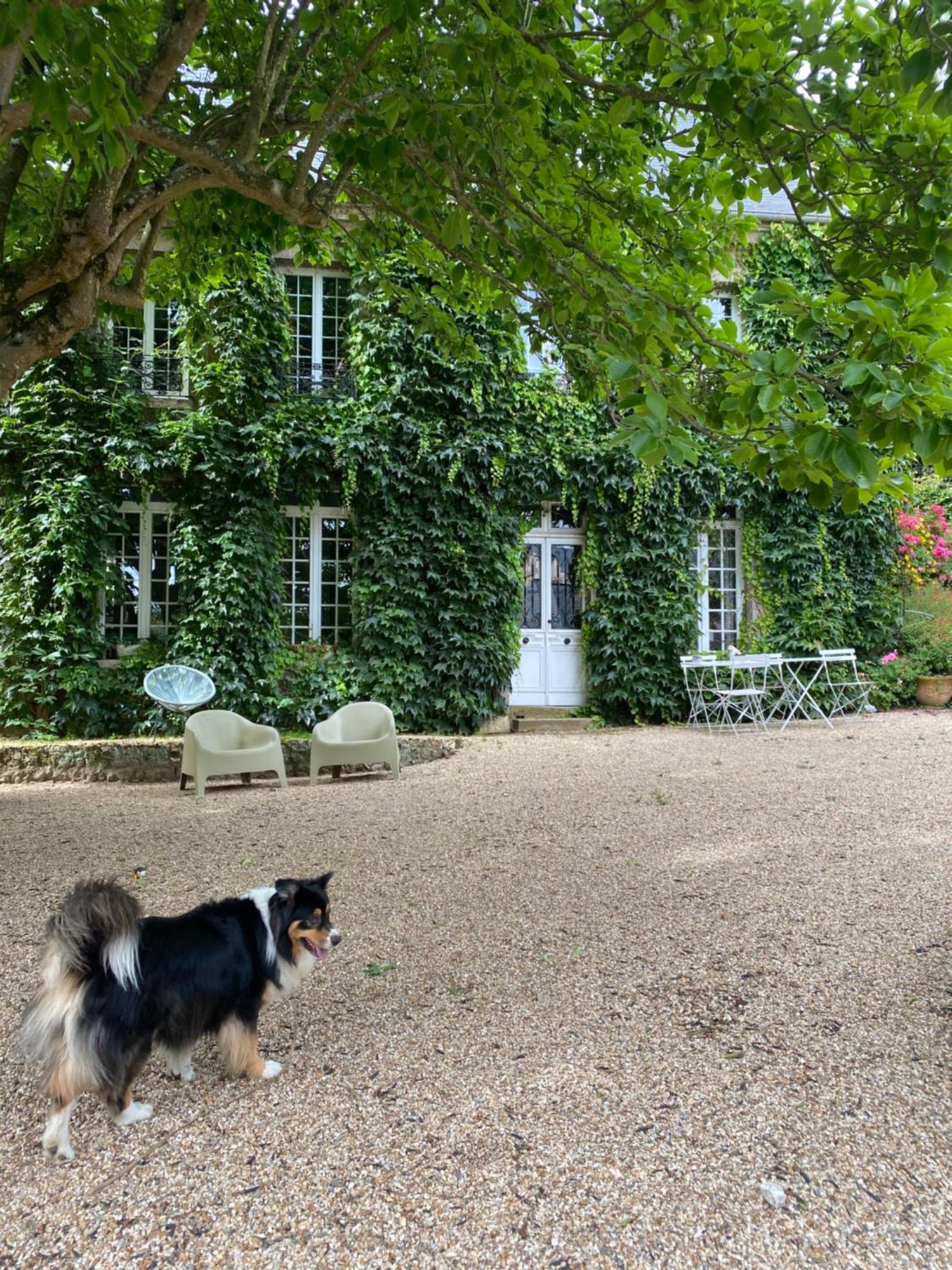La Benjamine Bed and Breakfast Cany-Barville Exteriör bild